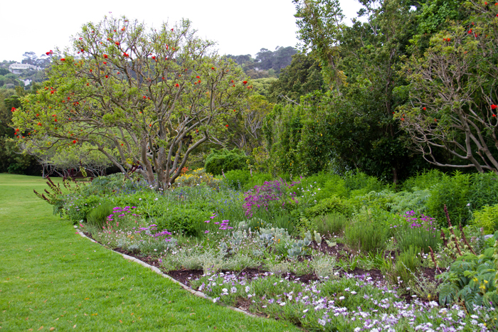 Kirstenbosch National Botanical Gardens